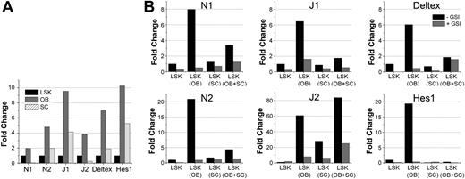 Figure 3. Notch activation in OB, SC, and LSK cocultures. (A) Endogenous expression of components of the Notch pathway. Quantitative RT-PCR was performed on cDNA generated from mRNA derived from sorted LSK cells, cultured SCs, and freshly isolated 2-day C OBs (performed in triplicate for each sample). Bar graphs represent ratio of each specific transcript to glyceraldehyde-3-phosphate dehydrogenase. Expression of each transcript in OBs and SCs was expressed as fold change relative to the expression of that transcript in LSK cells, which was normalized to 1. (B) Quantitative RT-PCR data from cells isolated from cocultures. Cocultures were established with SCs from C57Bl/6 GFP mice (CD45.2), OBs (2-day C) from C57Bl/6 mice (CD45.2), and LSK cells from BoyJ mice (CD45.1). On day 7, cells were harvested and stained with PE-CD45.1. mRNA was prepared from GFP-CD45.1+ cells (LSK progeny only) and analyzed. Bar graphs show fold increase in the expression of the indicated genes in LSK cultured alone (normalized to 1 in cultures without GSI) or with other cell types shown for each condition in parentheses. Quantitative RT-PCR was performed in triplicates for each sample and each condition. Data are representative of 2 independent experiments with similar results. GSI was added at 10nM on day 0 and replenished twice during the next 7-day culture period. The legend shown in the plot of Deltex in panel B applies to all other plots in the figure (N1, N2, J1, J2, and Hes1).