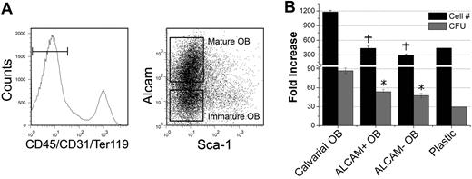Figure 5. Effect of phenotypically defined groups of 2-day C OBs on HPC function. (A) Two-day C OBs were stained as described in “Methods.” Gated CD45−CD31−Ter119− cells were separated into Sca1−ALCAM+ and Sca1−ALCAM− cells, which were used in assays shown in panel B. (B) Increase in cell number from the original LSK cells and production of clonogenic progenitors in the presence of phenotypically defined groups of OBs. +P < .01 compared with fold increase in cell number in calvarial OB cultures. *P < .01 compared with fold increase in CFU in calvarial OB cultures.