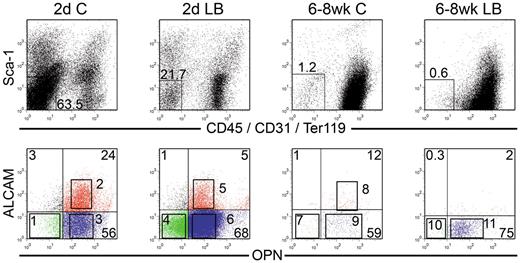 Figure 6. Phenotypic analysis of OBs from calvariae (C) or long bones (LB) of newborn (2-day) and 6- to 8-week-old mice. OBs were stained as described in “Cell staining and flow cytometry.” Cells were analyzed for Sca1 versus CD45/CD31/Ter119 (top row), and double-negative cells were then analyzed for OPN versus ALCAM (bottom row). Different numbers of events were collected and are displayed for each file. Sort gates defining groups 1 through 11 were established based on fluorescence levels of control samples. Cells in these gates were sorted and used in different assays depending on the number of cells recovered for each fraction. Dot plots are from 1 representative experiment of 3.