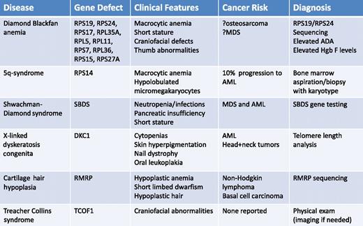 Summary of known and suspected ribosomopathies with details about clinical characteristics, cancer risk, and diagnostic work-up