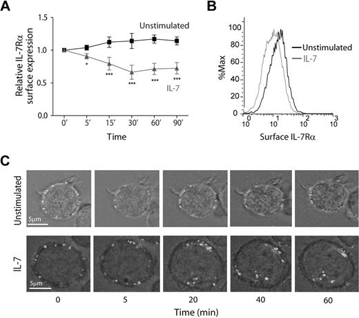 Figure 1. IL-7 induces rapid IL-7Rα surface down-regulation resulting from receptor internalization. (A) HPB-ALL cells were cultured in the presence or absence of IL-7 (50 ng/mL) in culture medium for the indicated time points and subsequently analyzed by flow cytometry for surface IL-7Rα expression, as described in “Flow cytometric analysis.” Relative IL-7Rα expression was calculated as the geometric mean intensity of fluorescence normalized to the time 0 control. Data represent mean ± SEM from at least 3 independent experiments. *P < .05, ***P < .001 (1-way analysis of variance, with Bonferroni post test). (B) Representative flow cytometric histogram overlay of IL-7Rα surface expression in HPB-ALL cells stimulated for 30 minutes with IL-7 (gray line) or left unstimulated (black line). (C) IL-7Rα internalization visualized by time-lapse microscopy of HPB-ALL cells. IL-7Rα initially expressed at the cell surface was stained with α-human IL-7Rα unconjugated antibody, subsequently reincubated with a secondary α-mouse IgG-Alexa 488–conjugated antibody, and imaged for the indicated time points, with or without addition of IL-7 (50 ng/mL), as described in “Antibody ‘chase’ for assessment of receptor colocalization.” See supplemental data for full time-lapse microscopy video. Representative cells of each condition from 2 independent experiments are shown.