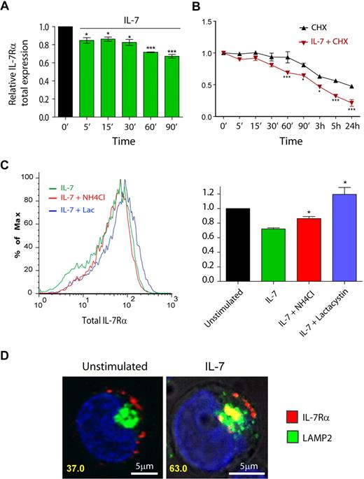 Figure 4. IL-7 stimulation accelerates IL-7Rα degradation, in a lysosome and proteasome-dependent manner. (A-C) Total IL-7Rα expression (surface plus intracellular) was assessed by flow cytometric analysis of fixed and permeabilized HPB-ALL cells, as described in “Flow cytometric analysis.” Analysis of the data was performed as described in Figure 1. *P < .05, ***P < .001 (1-way analysis of variance, with Bonferroni post test). (B) To determine IL-7Rα half-life, cells were treated with the translation inhibitor cycloheximide (CHX). (C) To determine the pathways of degradation of IL-7Rα, cells were pretreated for 1 hour with 50mM NH4Cl or 25μM lactacystin, and then stimulated or not with 50 ng/mL IL-7 for 1 hour. The geometric mean of fluorescence of the population was determined by flow cytometry, as shown in the representative histogram. *P < .05 (Student t test, 2-tailed). Data in panels A, B, and C represent mean ± SEM from at least 3 independent experiments. (D) Colocalization between IL-7Rα and lysosomes in the presence or absence of IL-7 (1 hour; 50 ng/mL) was performed using α-human IL-7Rα antibody and LAMP-2 as a lysosome marker. The percentage of cells that displayed colocalization is indicated and was determined as in Figure 2. Representative cells of 3 independent experiments are shown.