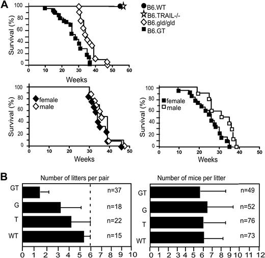 Figure 3. Survival and breeding potential. (A) Mice were monitored from birth, until their sudden death, or until they were killed (having become moribund), in full accordance with Western Sydney Area Health Service institutional animal ethics guidelines. Kaplan-Meier graphs were plotted with survival data from 10 B6.WT, 12 B6.TRAIL−/−, 21 B6.gld/gld, and 25 B6.GT mice. Data were analyzed with log-rank test that indicated a statistically significant difference of P < .001 between B6.G and B6.GT. A statistically significance difference (P = .012) was also evident between female versus male B6.GT mice, but no significant difference was found for male versus female B6.gld/gld (P = .233). (B) Breeding potential was assessed by reviewing the number of litters per breeder pair and number of mice per litter, with data from long-term breeding records over 4 years. Male and female mice were mated at approximately 6 to 7 weeks of age, with pups weaned at approximately 3 weeks of age, and male mice were left with their female partners to allow postpartum mating.