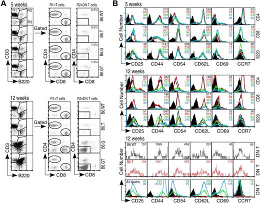 Figure 5. Lymphocyte activation marker expression. Axillary lymph node lymphocytes from 5- and 12-week-old mice were assessed for expression of activation status molecules using multicolor flow cytometry. (A) Lymphocytes were gated first on CD3+B220− (R1) and CD4 or CD8 to designate mature peripheral conventional T lymphocyte subsets, or on CD3+B220+ (R2) and then CD4−CD8− DN T cells, or on CD3−B220+ (R3) B cells. (B) Expression of CD25, CD44, CD54, CD62L, CD69, and the chemokine receptor CCR7 was determined on each of these lymphocyte subsets. Data shown are histogram overlays with mean fluorescent intensity of individual histograms, indicating relative expression levels of each activation-status molecule on young (5-week-old) or older (12-week-old) B6.WT (black unfilled histogram), B6.TRAIL−/− (red unfilled histogram), B6.gld/gld (unfilled green histogram), and B6.GT (blue unfilled histogram). Data are shown compared with B6.WT control Ig-stained cells (black filled histograms) for CD4+, CD8+, and B200+ cells, or B6.G control stained DN T cells (black filled histograms). Data shown are representative of repeated analysis of independently generated mouse cohorts.
