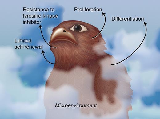 The precise identity of the CML-initiating cell has been elusive, like the fictional Maltese Falcon. Properties of the CML-initiating cell include limited self-renewal, resistance to tyrosine kinase inhibitor, and ability to proliferate and differentiate. Professional illustration by A. Y. Chen.