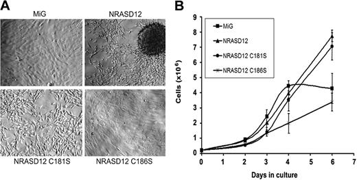 Figure 2. NIH3T3 cell lines expressing NRASD12 or nonpalmitoylated NRASD12 result in phenotypic changes in morphology and density-dependent inhibition of growth. (A) Morphology of cultured NIH3T3 cells stably expressing the proteins indicated. Equal numbers (5 × 105) of NIH3T3 cells expressing vector alone, NRASD12, NRASD12C181S, or NRASD12C186S were plated onto 100-mm plates and were cultured for 6 days before the pictures were taken (original magnification, ×100). (B) Total numbers of viable cells per plate (means with error bars) for NIH3T3 cells expressing vector alone, NRASD12, NRASD12C181S, or NRASD12C186S were plotted versus time (days). NRASD12C186S cells grew significantly slower than the vector control cells at day 4 (P = .01). NRASD12 and NRASD12C181S cells grew significantly faster than the vector control cells at day 6 (P = .005 and P = .02, respectively).