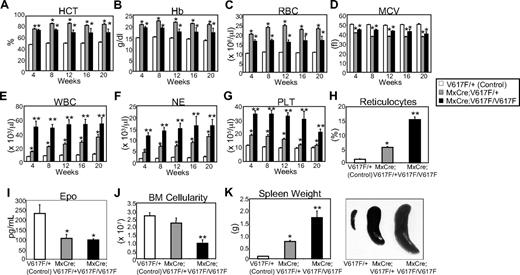 Figure 2. Mice expressing Jak2V617F develop MPN. Peripheral blood hematocrit (A), hemoglobin (B), and RBC (C) counts were significantly increased in heterozygous and homozygous Jak2V617F mice compared with controls (V617F/+). Mean corpuscular volume (MCV; D) was significantly reduced in both heterozygous and homozygous Jak2V617F mice compared with controls (V617F/+). WBC (E), neutrophil (F), and platelet (G) counts were also significantly increased in both heterozygous and homozygous Jak2V617F mice compared with controls. However, the WBC, neutrophil, and platelet counts were much greater in peripheral blood of Jak2V617F homozygous mice compared with heterozygous Jak2V617F mice. Blood counts at 4, 8, 12, 16, and 20 weeks after induction with pI:pC are shown. (n = 30 at all time points for V617F/+ control; n = 30 at all time points for heterozygous Jak2V617F; n = 10 at 4, 8, 12 weeks, n = 6 at 16 and 20 weeks for homozygous Jak2V617F mice). (H) Reticulocyte counts were markedly increased in the peripheral blood of homozygous Jak2V617F mice. (I) Serum Epo level was significantly reduced in both heterozygous (n = 9) and homozygous Jak2V617F (n = 6) mice compared with controls (n = 9). (J) BM cellularity (total BM cell count; was significantly reduced (12 to 16 weeks after induction) in mice expressing homozygous Jak2V617F. (K) Spleen weight/size was significantly increased in Jak2V617F heterozygous (n = 20) and homozygous (n = 9) mice compared with controls (n = 20; 12 to 16 weeks after induction). *Significance between control and heterozygous or between control and homozygous; **significance between control and homozygous as well as between heterozygous and homozygous Jak2V617F mice; P < .05 determined by unpaired, 2-tailed Student t test.