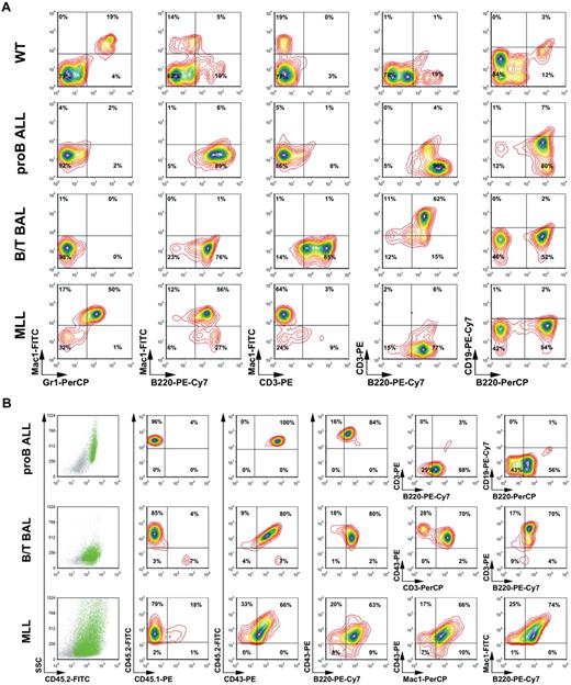 Figure 5. Confirmation of the different types of acute leukemia by flow cytometric analyses. (A) Primary leukemic cells of all 3 histotypes were analyzed by flow cytometric analyses. Different antibody combinations and their conjugated fluorochromes are indicated. Leukemias are classified as pro-B ALL, B/T BAL, and mixed lineage leukemia (MLL). (B) CD45.2+ cells were used for the analysis and classification of secondary leukemias. The different antibody combinations are indicated. These analyses demonstrate engraftment and recapitulation of the primary disease phenotypes.