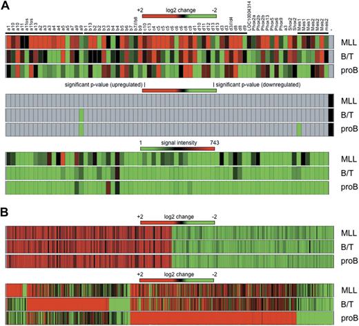Figure 7. Gene expression profiling experiments. (A) Hox genes from 4 Hox gene clusters and the Meis gene family are shown as heat maps for the 3 leukemia subtypes (MLL, B/T BAL, and pro-B ALL) after comparison with bone marrow of mock-transduced mice. (Top panel) Log2 changes. (Middle panel) Significant P values. (Bottom panel) Signal intensities in arbitrary light units. With the exception of down-regulated Hoxa9 and Meis1 in B/T BAL and pro-B ALL, none of the observed changes was calculated as significant (gray areas in middle panel). (B) Common and unique signatures of all 3 disease phenotypes. (Top panel) Commonly deregulated genes in all 3 disease phenotypes (regardless of whether only AF4·MLL or both transgenes were present). (Bottom panel) Unique signatures for each subtype. Genes were listed only if the observed log2 change was more than ± 2 (equals ± 4-fold) and arbitrary light units were > 500.