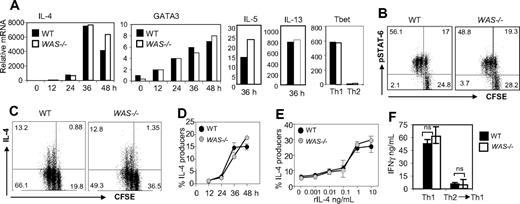Figure 2. Early events in the Th2 differentiation program are WASp-independent. (A) WT and WAS−/− naive CD4+ T cells (CD4+CD62LhighCD44low) were loaded with CFSE and primed under Th2 (anti-IFNγ mAb and rIL-4) conditions with plate-bound anti-TCRβ and anti-CD28 Ab for 5 days. Cells were harvested at given time points, and mRNA was extracted for qRT-PCR. mRNA was normalized to CD3δ and expressed as fold change over unstimulated naive CD4+ cells. mRNA from WT and WAS−/− Th1 (anti–IL-4 mAb and rIL-12)–primed cells were collected at 48 hours as controls. Data from 1 representative experiment of 3. Results were not statistically different for all cytokine mRNAs tested over 3 independent experiments, by paired Student t test. (B) CFSE-labeled CD4+ T cells were harvested after 48 hours of primary Th2 stimulation and analyzed for phospho-STAT6 by FACS: dot plots are gated on CD4+ T cells, and quadrant numbers equal the percentage of CD4 T cells. Percentage of phospho-STAT6+ cells in negative control (Th1-primed) was less than 5%. (C) At 48 hours, IL-4 production was analyzed by the cytokine secretion assay (CSA) on gated live CD4+ T cells. Quadrant gates were set on “no catch” controls (< 0.5% IL-4+ for WT and WAS−/−); numbers in quadrants equal the percentage of CD4+ T cells. (D) Kinetic analysis of IL-4 production by CD4+ T cells during Th2 differentiation by CSA. (E) IL-4 dose response during initial cell culture; IL-4 effects determined by the induction of IL-4 production by CD4+ T cells by CSA 48 hours after primary stimulation. Results represent one of at least 4 comparable experiments. (F) WT and WAS−/− naive CD4+ T cells were primed under Th1 or Th2 conditions with pOVA/APC for 5 days. Th2 cells were primed a subsequent time under opposing Th1 conditions (anti–IL-4 mAb and rIL-12) with pOVA/APC. At 5 days later, cells were restimulated for 24 hours in the absence of exogenous cytokines with pOVA/APC. IFNγ ELISA analysis of collected supernatants 24 hours after restimulation, nonsignificant by Student t test. Error bars indicate mean and SEM.