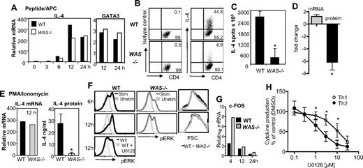 Figure 4. IL-4 transcriptional enhancement but no IL-4 protein production in the absence of WASp. (A) Th2-primed WT and WAS−/− CD4+ T cells were restimulated with pOVA/APC (WT T-depleted splenocytes). Cells were collected at given times after stimulation, and mRNA was extracted for qRT-PCR. mRNA was normalized to CD3δ and expressed as fold change over Th2-primed unstimulated (resting) cells. Results were not statistically different for IL-4 mRNA tested over 3 independent experiments by paired Student t test. (B) Intracellular staining on Th2-primed cells stimulated with pOVA/APC. (C) ELISPOT analysis of Th2-primed cells for frequency of IL-4 secretors 24 hours after restimulation with pOVA/APC. Data are from 1 of 3 comparable experiments. *P ≤ .05; paired Student t test. (D) Fold change in mRNA versus protein in WAS−/− Th2 cells compared with WT Th2 cells. *P = .03, paired Student t test, for relative differences in IL-4 protein in WAS−/− and WT Th2 cells. Differences in absolute IL-4 mRNA between WAS−/− and WT Th2 cells was not significant. Average and SEM of data from 3 independent experiments. (E) Th2-primed WT and WAS−/− CD4+ T cells were restimulated with phorbol myristyl acetate (PMA) and ionomycin: IL-4 mRNA analysis (left) and protein secretion by ELISA (right) 12 hours after restimulation. Data are from 1 of 3 comparable experiments. *P ≤ .05; paired Student t test. Error bars indicate mean and SEM. (F) ERK phosphorylation after pOVA/APC restimulation of Th2-primed WT and WAS−/− CD4+ T cells using an anti–phospho-specific ERK Ab. Specificity of binding of the phospho-specific Ab was confirmed by treatment with the ERK inhibitor U0126 (bottom panel). Representative plots from 1 of 4 experiments. (G) qRT-PCR analysis of ERK transcriptional target gene c-FOS in Th2-primed WT and WAS−/− effectors restimulated with pOVA/APC. Representative data from 1 of 2 similar experiments. (H) Cytokine production after restimulation of WT Th1- and Th2-primed cells in the presence of the ERK inhibitor U0126. IFNγ and IL-4 were measured by ELISA and normalized to effector cell stimulation in the absence of the ERK inhibitor (DMSO vehicle control = 100%). Mean and standard error from 4 independent experiments. *P ≤ .05; Student t test. Error bars indicate mean and SEM.