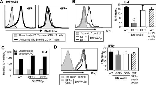 Figure 5. WT Th2 cells require WASp signaling for IL-4 production. WT naive CD4+ T cells were primed under Th2 (A-C) or Th1 (D) conditions with peptide and WT APCs. Cells were retrovirally transduced with DN WASp (WASpΔVCA-IRES-GFP) or empty vector (-IRES-GFP) for 36 hours late during priming (day 4). On day 6, retrovirally transduced cells were sorted based on GFP expression and restimulated. (A) GFP− and GFP+ cells were not activated or activated with anti-TCRβ mAb for 15 minutes. Cells were fixed and stained with phalloidin and analyzed by FACS. (B-C) Cells were restimulated with pOVA/APC for 24 hours. (B) The frequency of cytokine producers was determined using CSA (left panel) and cytokine produced in the supernatant by ELISA (right panel). Mean ± SEM; n = 3. *P ≤ .05 between GFP+ and GFP− cells in 3 independent experiments; paired Student t test. (C) mRNA analysis 24 hours after restimulation. mRNA was normalized to CD3δ and expressed as fold change over naive unstimulated CD4+ T cells. (D) Th1-primed cells were restimulated with pOVA/APC for 24 hours. The frequency of cytokine producers was determined using CSA (left panel) and cytokine produced in the supernatant by ELISA (right panel). Mean ± SEM; n = 3. Data are from 1 of 3 comparable experiments.