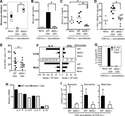 Figure 8. WASp-deficient CD4+ T cells fail to support Th2 immune responses to N brasiliensis infection in vivo. WT or WAS−/− CD4+ T cells (BALB/c) were adoptively transferred into TCR Ca−/− mice. After 24 hours, mice were infected with 500 infective N brasiliensis third-stage larvae (Nb). Ten days after infection, small intestines were excised for direct counting of adult worms. Symbols represent individual mice, 6 mice per group. *P ≤ .01 for WT versus WAS−/− CD4-reconstituted; Student t test. (B) Serum IgE levels measured by ELISA 10 days after infection. (C) In vivo cytokine capture for IL-4 in TCR Ca−/− mice reconstituted with WT or WAS−/− CD4+ T cells, 10 days after Nb infection. (D) Serum IL-13 in TCR Ca−/− mice reconstituted with WT or WAS−/− CD4+ T cells, 10 days after Nb infection. (E) CD4 T-cell numbers in mesenteric LNs 10 days after Nb infection; symbols represent individual mice. (F) ELISPOT for cytokine-secreting cells from the lungs and mesenteric LNs of infected mice restimulated ex vivo for 18 hours with Nb antigen. Statistical analysis by Student t test: lung tissue, *P < .008; mesenteric LN, *P < .004 for difference between IL-4 production by WT and WAS−/− cells. Data are from 1 experiment representative of at least 3 independent experiments. (G) Ex vivo ELISPOT for IL-13 with or without addition of blocking anti–MHC class II Ab. (H) mRNA analysis of Th2 cytokine gene expression in WT and WAS−/− CD4+ T cells from the mesenteric LNs of Nb-infected mice at day 10. Transcripts were normalized to HPRT and expressed relative to uninfected CD4+ T cells from the mesenteric LN. (I) Innate cell number in the lung, 10 days after Nb infection. Noninfected lungs contained 306 ± 60 basophils, 1130 ± 248 eosinophils, and 507 ± 140 mast cells. Results are the mean of individual mice from 3 independent experiments. Differences between WT and WAS−/− recipients were not statistically significant. Error bars indicate mean and SEM.