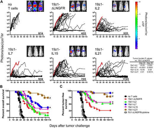 Figure 2. Differential in vivo antitumor potency of tumor-specific human primary T cells overexpressing IL-2, IL-7, IL-15, or IL-21. NOD/SCID/γcnull mice were inoculated with 5 × 105 Raji-GL tumor cells and 6 days later received adoptive transfer of 2 × 105 19z1+CD8+ T cells transduced with 19z1-ΔLNGFR (n = 23), 19z1-IL2 (n = 23), 19z1-IL7 (n = 24), 19z1-IL15 (n = 23), 19z1-IL21 (n = 23), or no T cells (n = 14). As nonspecific controls, mice received T cells transduced with Pz1-ΔLNGFR, Pz1-IL2, Pz1-IL7, Pz1-IL15, or Pz1-IL21 vectors (n = 4 each). The percentage of 19z1+ T cells for each of the 3 experiments at the time of adoptive transfer was as follows: 19z1-ΔLNGFR: 53, 71, 61 (mean, 62); 19z1-IL2: 62, 64, 72 (mean, 66); 19z1-IL7: 81, 92, 85 (mean, 86); 19z1-IL15: 63, 68, 72 (mean, 68); and 19z1-IL21: 72, 78, 76 (mean, 75). (A) Quantified tumor burden measured by in vivo bioluminescent imaging. Immediately prior to T-cell injection, biweekly until day 55, and weekly thereafter, mice were anesthetized and administered intraperitoneal d-luciferin (150 mg/kg), and ventral tumor burden was assessed by the Xenogen 100 in vivo imaging system. Mice were imaged up to 3 at a time, separated by opaque shields. Saturated luminescent signals were imaged for shorter durations, down to 2 seconds. Each black line represents 1 animal; dots along the line indicate an imaging time point. The thick red line represents the average tumor burden of mice that received PSMA-specific T cells. Fractions in the lower right corner of each graph represent the proportion of 19z1-treated surviving mice at day 106. Bioluminescent images from 3 representative mice from 1 experiment at day 27 after tumor challenge are shown. 19z1 data are from 3 pooled experiments (n = 5-10), each testing T cells from a different donor. (B-C) Efficacy of tumor immunotherapy with cytokine-transduced T cells. Kaplan-Meier survival curves depicting overall survival (B), and tumor-free survival (C) in which mice were considered tumor free if their tumor burden was < 104 photons/s/cm2/sr. Pz1-ΔLNGFR/cytokine refers to the combined survival of all mice treated with PSMA-specific T cells. *P < .05, #P < .005 versus 19z1-ΔLNGFR.