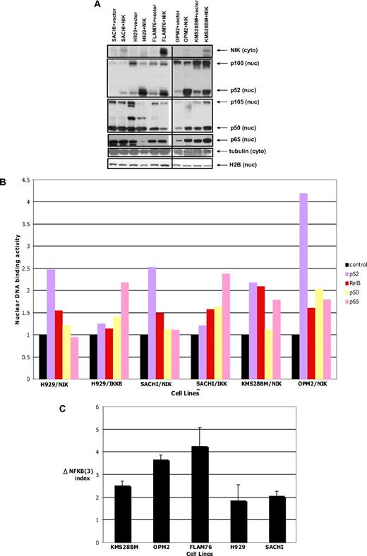 Figure 4. Effect of overexpression of NIK in cell lines with low NF-κB index. (A) Immunoblot of MMCLs after infection with empty vector or NIK gene. Nuclear and cytosol extracts were prepared, and expression of the proteins indicated at right was analyzed on Western blots. (B) Overexpression of NIK and IKK-β activates nuclear NF-κB DNA binding. DNA-binding activity of the indicated NF-κB subunits was quantified by enzyme-linked immunosorbent assay. (C) Activation of NF-κB target gene expression after infection of cells with NIK gene. The Δ NF-κB(3) = increased expression for average of 3 target genes (TNFAIP3, BIRC3, and IL2RG) in MM cells infected with NIK gene versus empty vector. Data are mean ± SE.