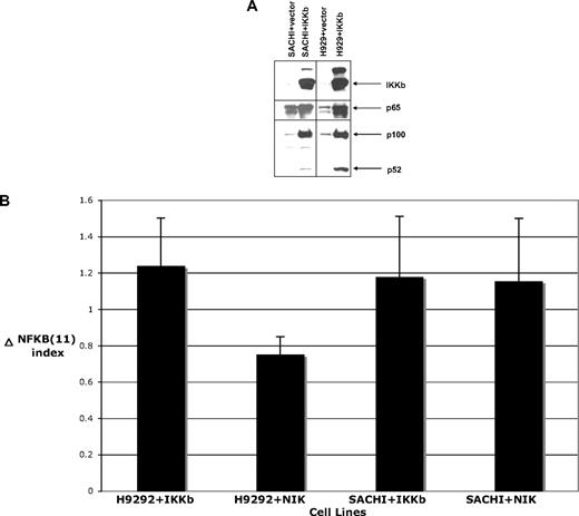Figure 5. Effect of overexpression of NIK and IKK-β in cell lines with low NF-κB index. (A) Overexpression of IKK-β activates classical NF-κB pathway. Immunoblot of MMCLs after infection with empty vector or constitutively active IKK-β gene. Nuclear and cytosol extracts were prepared, and expression of the proteins indicated at right was analyzed. (B) Activation of NF-κB target gene expression after infection of cells with NIK or IKK-β. Average of 11 target gene expression in cells infected with NIK or IKK-β corrected by subtraction of expression in cells infected with empty vector. Data are mean ± SE.