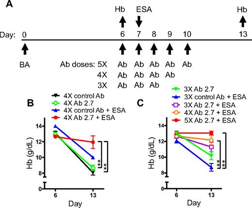 Figure 6. Ab 2.7 restored response to ESA treatment in hHepc knockin AI mice. (A) Experimental scheme detailing administration time of BA (3 × 108 particles/mouse, intraperitoneally), antihepcidin (or control) antibody (1 mg subcutaneously), and ESA (100 μg/kg darbepoetin alfa, subcutaneously) or saline control. Hb was measured before and after treatment (n = 3-5/group). (B) Hep1 AI mice showed declining Hb when treated with 4× control antibody. Treatment with either ESA or Ab2.7 had no effect but combination treatment was effective at preventing the Hb decline. (C) Hep1 mice showed a dose-response to Ab2.7. Statistics represent comparison of Hb values at day 13: **P < .01.