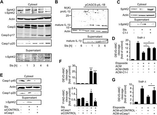 Figure 2. Release of SphK2 depends on activation of caspase-1. (A) Western blots show expression of SphK2, caspase-3, and active caspase-1 (p20) in the cytosol and of SphK2 in the supernatants of Jurkat cells incubated with Sts for the times indicated. (B) Western analysis of pro–IL-1β and mature IL-1β. Jurkat cells were controls or transfected with the pro–IL1β expression vector pCACGS-p-IL-1B and treated with Sts for the times indicated. (C) Western analysis of SphK2 expression in the cytosol and supernatants of Jurkat cells. Cells were controls, treated with Sts, or Sts and 1μM caspase-1 inhibitor Ac-YVAD-CMK (C1-I). (D) THP-1 macrophages were pretreated with supernatants of apoptotic Jurkat cells (ACM), or respective supernatants generated with either DMS (ACM-DMS) or Ac-YVAD-CMK (ACM-C1-I) present. Apoptosis was induced for 8 hours with 250μM etoposide. Caspase-3 activity in THP-1 macrophages normalized to untreated cells is shown. Data are means ± SEM from 4 independent experiments. (E-F) Jurkat cells were controls or transfected with either siCONTROL or siRNA directed against caspase-1 before induction of apoptosis with Sts. (E) Western analysis shows expression of pro–caspase-1 and the caspase p20 subunit in the cytosol and t-SphK2 in the cell supernatant. (F) Histograms display caspase-3/7 (DEVD-AMC cleavage) or caspase-1 (YVAD-AMC cleavage) activity normalized to controls. Data are means ± SEM from 4 independent experiments. (G) THP-1 macrophages were pretreated with supernatants of apoptotic Jurkat cells transfected with siCONTROL (ACM-siControl) or siRNA targeting caspase-1 (ACM-siCasp1). Apoptosis was induced for 8 hours with 250μM etoposide. Caspase-3 activity in THP-1 macrophages was normalized to untreated cells. Data are means ± SEM from 5 independent experiments (*P < .05; **P < .01; ***P < .001).