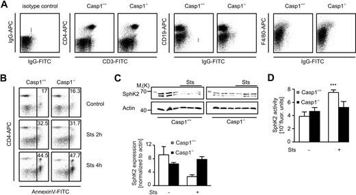 Figure 3. Caspase-1 knockout mice have defects in SphK2 processing and release during apoptosis. Spleen cells from caspase-1 knockout (Casp1−/−; n = 7) and wild-type (Casp1+/+; n = 7) littermates were left untreated or incubated with Sts. (A) Dot blots show FACS analysis of spleen cell subsets after preparation from whole spleens. CD45+ cells were further stained with CD3-FITC, CD4-APC (T cells), CD19-APC (B cells), F4/80-APC (macrophages), and/or respective isotype antibodies. Representative data from 3 different mice of each genotype are displayed. (B) FACS dot blots display PS exposure visualized with annexin V–FITC in spleen cell conglomerates before and after incubation with Sts for 2 and 4 hours. CD4-APC staining specifies apoptosis mainly in the T-cell compartment. Representative data from 5 different mice of each genotype are displayed. (C) Western analysis of cytosolic SphK2 expression before and after induction of apoptosis with Sts. The histogram shows quantification of Western data as means ± SEM from 5 mice of each genotype. (D) Histogram shows SphK2 activity in the supernatants of control or Sts-treated spleen cell conglomerates. Data are means ± SEM from 7 different mice of each genotype. ***P < .001.