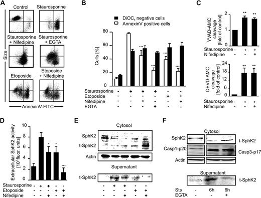 Figure 7. SphK2 release during apoptosis is coupled to PS exposure. Jurkat cells were killed with Sts or etoposide in the absence/presence of 100μM nifedipine or 5mM EGTA. (A) FACS dot blots display PS exposure visualized with annexin V–FITC compared with cell size, with cell shrinkage indicating cell death. Representative data of 4 experiments are shown. (B) Cells were stained with annexin V–FITC (□) or DiOC6 (■) and analyzed by flow cytometry. Data are means ± SEM from 4 independent experiments. (C) Histograms display caspase-3/7 (DEVD-AMC cleavage) or caspase-1 (YVAD-AMC cleavage) activity normalized to controls. Data are means ± SEM from 3 independent experiments. (D) Extracellular SphK2 activity is displayed. Data are means ± SEM from 4 independent experiments. (E) Western analysis of intra- and extracellular SphK2 expression. (F) Western analysis of intra- and extracellular SphK2 and intracellular caspase-1–p20 as well as caspase-3–p17 expression from the same gel. (B-D) Asterisks indicate significant differences compared with cells treated with Sts alone. *P < .05; **P < .01; ***P < .001.