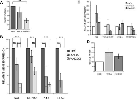 Figure 4. FANCAi and FANCD2i hESCs display reduced hematopoietic gene expression during in vitro differentiation. All data are presented as mean ± SEM. The number of biologic replicates (n) is reported for each panel. ***P < .01, **.01 < P < .03. (A) FACS analysis of day 20 EB-derived cells for the percentage of CD45+ cells. n = 8. (B-C) qRT-PCR analysis of representative hematopoietic (B), endothelial, and cardiac (C) markers in day 20 EBs. Relative gene expression (y-axis) is expressed as percentage and was calculated relative to LUCi expression levels after normalization with GAPDH. n = 6. (D) FACS analysis of day 20 EB-derived cells for the percentage of CD34+ cells. n = 6.