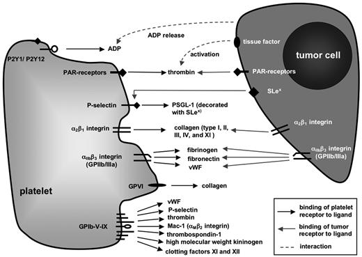 Figure 1. Platelet receptors implicated in hematogenous tumor metastasis. Schematic representation of platelet surface molecules whose primary functions contribute to hemostasis and coagulation through binding to ligands expressed by other cells or extracellular matrix (ECM) molecules. Modulation of these molecules, for example, through platelet activation, in genetically engineered mice or by antibody-mediated blockade, has been shown in many cases to impact on experimental tumor metastasis.