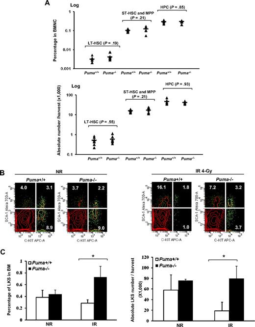 Figure 2. Quantitative measurements of HSCs and HPCs with or without 4-Gy irradiation. (A) Quantitative analysis of the frequencies of LT-HSCs, ST-HSCs plus multipotent progenitors (CD34+LKS) and HPCs (LKS−) in the Puma+/+ and Puma−/− mice without irradiation by flow cytometry. The percentage of each cell population (top) was calculated by the acquired number of the each population divided by the acquired number of CD45+ nucleated cells. The absolute number per harvest (bottom) was calculated by percentage of the cells multiplied by the number of BMNCs. The Student t test was used for the statistical analysis between groups (n = 7). (B) Relative increase of LKS cells after TBI in the absence of Puma. The Puma+/+ and Puma−/− mice (n = 3 in each phenotype) were subjected to 4-Gy irradiation (IR). LKS cells were measured in the bone marrow of the mice 6 hours after radiation in comparison with the nonirradiated (NR) controls (n = 3 in each phenotype). Representative profiles in flow cytometry from NR (left) and IR (right) groups were shown. (C) The percentage of LKS cells in the bone marrow (left) and the absolute number per harvest (right) with and without radiation were summarized (*P < .05).