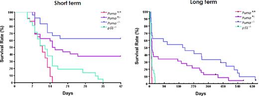 Figure 3. Kaplan-Meier analysis of overall survival in Puma+/+, Puma+/−, Puma−/−, and p53−/− mice challenged with 10 Gy of γ-irradiation. The plots of short-term analysis (42 days, top) and long-term analysis (more than 600 days, bottom) were shown, respectively. All the Puma+/+ (n = 23, red) and p53−/− (n = 21, green) mice died within 35 days and there was no significant difference between these 2 groups (P = .07). The Puma−/− (n = 24, blue) and Puma+/− (n = 32, purple) mice survived much longer. There are significant differences when Puma−/− or Puma+/− groups were compared with Puma+/+ or p53−/− groups (P < .01in all groups).