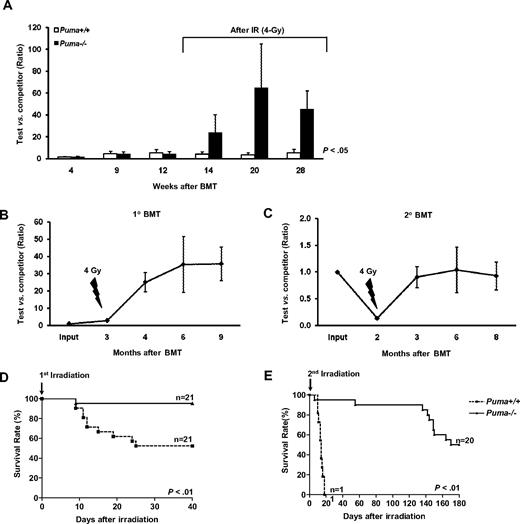 Figure 4. Radiation resistance of engrafted hematopoietic stem cells in the absence of Puma. (A) Radioprotection of HSCs by deletion of Puma in competitive transplantation model. The experimental design was shown in detail in supplemental Figure 1A. The hematopoietic contribution in blood by 100 LT-HSCs before and after 4-Gy irradiation was indicated by the ratios of CD45.2 to CD45.1/.2 cells (n = 4 in both Puma+/+ and Puma−/− groups). (B-C) Self-renewing capacities of Puma−/− HSCs remained after serial competitive transplantation and 4-Gy radiation. The experimental design was shown in detail in supplemental Figure 1B. The engraftment levels of Puma−/− HSCs relative to competitor cells in primary recipients (B) and secondary recipients (C) were shown, respectively. (D-E) Kaplan-Meier analysis of overall survival of the mice reconstituted with Puma+/+ or Puma−/− hematopoietic cells (supplemental Figure 1C) exposed to first round 9-Gy irradiation (D) and second round 9-Gy irradiation (E). P values are indicated in the graphs.