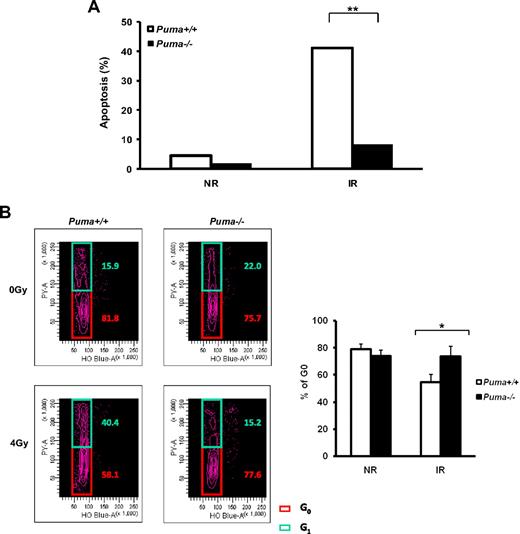 Figure 5. Decreased apoptosis and remained quiescence of HSCs in the absence of Puma. (A) Detection of apoptosis of LKS cells by the TUNEL assay. LKS cells sorted from Puma+/+ and Puma−/− mice were treated with 4-Gy irradiation. The percentage of cells undergoing apoptosis at 24 hours after irradiation was compared with those without irradiation. Total 250 cells were calculated in each group. Percentage of apoptotic cells in Puma+/+ and Puma−/− was compared using the Fisher exact test. **P < .01. (B) Flow cytometric analysis of cell-cycle change of LKS cells after radiation. G0 versus G1 fraction in cell cycle was measured at 20 hours after 4-Gy irradiation. Representative flow cytometric profiles from 3 experiments were shown (left). The average percentages of G0 fraction in LKS cells from 3 experiments were summarized (right). *P < .05.