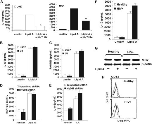 Figure 2. Preserved TLR4-mediated MyD88-independent pathway in HIV+ human macrophages. (A) Human macrophage IL-10 release is mediated by TLR4. U937 and U1 cells were incubated with lipid A (10 μg/mL) in the presence or absence of neutralizing anti-TLR4 antibody (10 μg/mL) for 24 hours, and cell-free supernatants were analyzed for IL-10 by ELISA. Data shown are mean ± SEM of 4 independent experiments done in triplicate. *P < .01 compared with U937 with lipid A alone; **P < .05 compared with U1 with lipid A alone. (B-C) Lipid A–mediated release of IL-10 and RANTES is preserved in HIV+ macrophages. U937 and U1 cells were incubated with or without lipid A (10 μg/mL) for 24 hours, and cell-free supernatants were analyzed for IL-10 (B) or RANTES (C) by ELISA. Data shown are mean ± SEM of 4 independent experiments done in triplicate. (D-E) Functional silencing of human MyD88 did not affect TLR4-mediated release of RANTES (D) and IL-10 (E). Cells were challenged with lipid A and incubated for 24 hours. Cell-free supernatant was assayed for RANTES and IL-10 by ELISA. Results are representative of 3 independent experiments done in triplicate. (F-H) Healthy and HIV+ AMs show similar levels of IL-10 release (F), similar levels of the TLR4 adaptor molecule MD2 (J), and surface expression of TLR4 coreceptor CD14 (H). (F) Healthy AMs and HIV+ AMs were incubated with or without lipid A (10 μg/mL) for 24 hours, and cell-free supernatants were analyzed for IL-10 by ELISA. Data shown are mean ± SEM from 4 independent experiments in triplicate (n = 4 subjects for each group). (G) Total cell lysates from healthy AMs and HIV+ AMs were probed with specific anti-MD2 antibody by Western blot, with β-actin probed for protein loading. (H) Healthy AMs and HIV+ AMs were incubated with PE-conjugated anti-CD14 antibody or isotype control antibody, and surface expression was determined by flow cytometry. Representative blot and profiles were similar of 3 independent experiments (n = 3 subjects for each group).