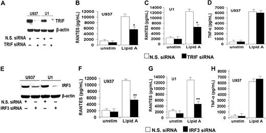 Figure 4. Targeted gene silencing of MyD88-independent signaling pathway molecules TRIF or IRF3 in human macrophages reduces TLR4-mediated RANTES release (but not TNF release). RNAi-based targeted gene silencing of TRIF (A-D) or IRF3 (E-H) in human macrophages was performed as detailed in “Targeting gene silencing (RNAi) in macrophages.” (A) Western blot analysis of human U937 and HIV+ U1 macrophages after pretreatment with RNAi targeted to TRIF (TRIF siRNA) or nonsilencing RNAi (N.S. siRNA) and probed with anti-TRIF antibody. Anti–β-actin antibody was used to monitor protein loading. The blot is representative of 3 independent experiments with similar results. (B-D) Human macrophage U937 and U1 cells, pretreated with either TRIF siRNA or N.S. siRNA, were then incubated with or without lipid A (10 μg/mL) for 24 hours, and cell-free supernatants were analyzed for RANTES (B-C) or TNFα (D) by ELISA. Data shown are mean ± SEM of 3 independent experiments done in triplicate with similar results. (E) Western blot analysis of human U937 and U1 macrophages after pretreatment with RNAi targeted to IRF3 (IRF3 siRNA) or N.S. siRNA and probed with anti-IRF3 antibody. Anti–β-actin antibody was used to monitor protein loading. The blot is representative of 3 independent experiments with similar results. (F-H) U937 and U1 cells, pretreated with either IRF3 siRNA or N.S. siRNA, were then incubated with or without lipid A (10 μg/mL) for 24 hours, and cell-free supernatants were analyzed for RANTES (F-G) or TNF (H) by ELISA. Data shown are mean ± SEM of 3 independent experiments done in triplicate with similar results.