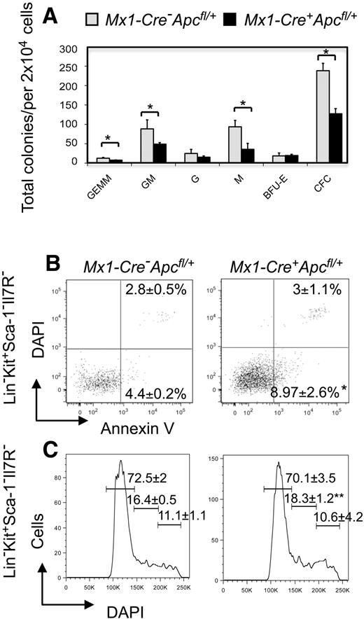 Figure 7. Analysis of in vitro colony-forming capacity, apoptosis, and proliferation of HPCs from Apc-heterozygous mice. (A) In vitro colony-forming assays. The number of BM CFU-GEMM, CFU-GM, CFU-G, CFU-M, and BFU-E was examined in Mx1-Cre+Apcfl/+ or Mx1-Cre−Apcfl/+mice 2 months after induction (mean ± SD of 3 animals). *P < .05. (B-C) Frequency of (B) apoptosis and (C) proliferation in gated HPCs (Lin− Kit+ Sca-1− Il-7R−) stained with Annexin V and DAPI, or DAPI, respectively, from Mx1-Cre+Apcfl/+ and Mx1-Cre−Apcfl/+ mice 3 to 4 months after pI-pC induction (mean ± SD of 3 animals). *P < .05; **P = .057.