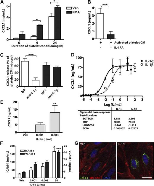 Figure 3. IL-1α is released from activated platelets and potently induces brain endothelial CXCL1 release and ICAM-1 and VCAM-1 expression. (A) The effects of CM from resting (vehicle/ethanol-treated) or PMA-activated platelets on the release of CXCL1 from MBECs. The effects of IL-1RA (B) or coapplication of neutralizing antibodies to IL-1α or IL-1β on activated platelet CM-induced CXCL1 release from MBECs (C). Rat brain endothelial cell line GPNT (D), or primary cultures of MBECs (E-G) were treated with vehicle, IL-1α, or IL-1β (0-100 U/mL). Twenty-four hours later (D-F), the CM was assayed for CXCL1 (D-E) or the cells lysed and assayed for ICAM-1 and VCAM-1 (F) by ELISA. (G) Four hours after treatment, MBECs were immunostained for CXCL1 and PECAM-1 (scale bar represents 20 μm). Images were acquired on a Delta Vision RT restoration microscope using a 40×/1.3 Plan Apo objective and the Sedat filter set (G). The images were collected using a CoolSNAP HQ camera with a Z optical spacing of 0.2 μm, raw images were deconvolved using softWoRx software, and maximum intensity projections of these deconvolved images are shown (G). A, from left to right: n = 4, 3, 3, 3, 3, 3; B, n = 4, 3; C, n = 5, 5, 6, 6; D, n = 2; E, n = 5, 3, 3; F, ICAM-1 n = 5, 5, 5, 6; VCAM-1, n = 3, 3, 3, 4. Data are mean ± SEM. ***P < .001. **P < .01. *P < .05.