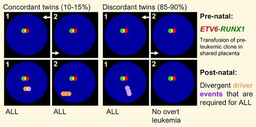 Acquisition of prenatal and postnatal lesions during the evolution of the preleukemic clone.