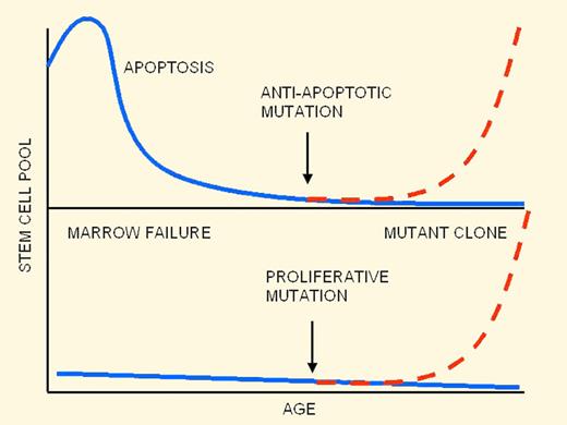 Ontogeny of hematopoietic failure in FA: old theory (top panel) and new theory (bottom panel).