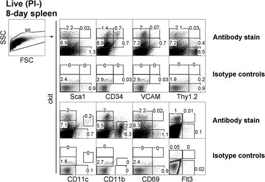 Figure 1. Characterization of DC precursors in neonatal spleen. C57BL/6J mice were analyzed for the presence of dendritic-like cells (DCs) and hematopoietic cell subsets by flow cytometric analysis for expression of c-kit, Sca1, CD34, VCAM, Thy1.2, CD69, Flt3, CD11c, and CD11b. Forward scatter (FSC) and side scatter (SSC) analysis was used to gate out debris, and isotype controls were used to determine background binding (shown as density plots) and to set gates. Specific antibody binding is shown by dot plots, and the percentage of cells is indicated in gates. Results are representative of 3 separate analyses.