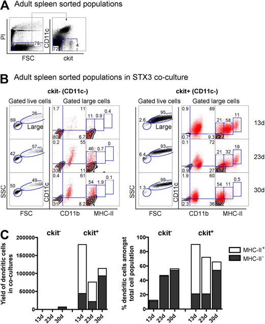 Figure 6. Adult spleen contains progenitors of LTC-DCs. (A) Adult splenocytes depleted of T and B cells were sorted into populations of c-kit−CD11c− and c-kit+CD11c− cells and cocultured over STX3 to evaluate potential for DC development. (B) Nonadherent progeny cells collected from cocultures at 13, 23, and 30 days were assessed for DC production flow cytometrically. Cells were stained simultaneously for CD11c, CD11b, CD8α, and MHC-II. FSC and SSC parameters were used to distinguish large cells for multichannel marker analysis. Isotype controls were used to define background antibody binding (zebra plots) and set gates. The percentage of cells showing specific binding is indicated within gates. Staining for CD8 was negative (data not shown). (C) DC production from 13-, 23-, and 30-day cocultures established with adult c-kit−CD11c− and c-kit+CD11c− spleen cell subsets is summarized. Cells produced were identified as either CD11cloCD11bhiMHC-II− (MHC-II− LTC-DC) cells or CD11chiCD11bloMHC-IIlo/+ (MHC-II+ DC) cells. Cell production is shown in terms of absolute number and yield of DCs, or percentage DCs among total cells produced in cocultures.