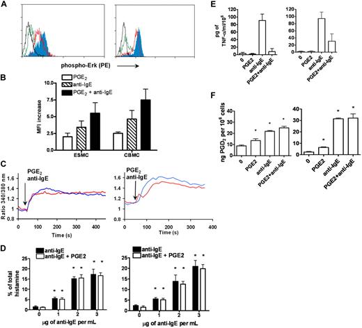 Figure 4. Activation of ESMCs by cross-linking of FcϵRI and PGE2. (A) Phosphorylation of p42/44 ERK assayed by FACS using a phosphospecific antibody that recognizes phosphorylation of T202 and Y204. ESMCs (left panel) or CBMCs (right panel) were activated by FcϵRI cross-linking or by PGE2 activation (black represents unactivated; green, PGE2; red, anti-IgE; and blue, PGE2 and anti-IgE). (B) Quantitative analysis (n = 6) of T202/Y204 phosphorylation in ESMCs stimulated by PGE2 (white bar), FcϵRI (hatched bar), and FcϵRI and PGE2 together (dark bar). (C) Intracellular calcium release in ESMCs (left panel) or CBMCs (right panel) and activated by FcϵRI cross-linking 3 μg/mL anti-IgE antibody (blue) or 1μM PGE2 (red). Point of stimulation is shown by arrow. Calcium mobilization is expressed as the ratio of fluorescence of Fura-2 measured at 340 and 380 nm. Typical results from at least 2 experiments are shown. (D) Histamine release in ESMCs (left panel) or CBMCs (right panel) preincubated with hIgE and cross-linked with various concentrations of anti-IgE antibody alone or together with 10−6M PGE2. Histamine release is presented as a percentage of total histamine assayed by lysis of cells by Triton X-100 (n = 3). *Significant difference from 0 μg/mL anti-IgE (P < .05). (E) Release of TNF-α was evaluated in ESMCs (left panel) and CBMCs (right panel) preincubated with hIgE and cross-linked with 3 μg/mL anti-IgE antibody alone or together with 10−6M PGE2 (n = 3). (F) PGD2 release from ESMCs (left panel) or CBMCs (right panel) measured using PGD2 methoxime enzyme immunoassay kit (n = 3). *Significantly different from untreated cells (P < .05). Results shown in right panels in panels C and E were obtained under identical conditions to those in the left panels but on different days.