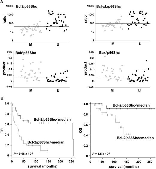 Figure 6. p66Shc levels and clinical behavior of U-CLL and M-CLL. (A) Ratios of the relative levels of Bcl-2/p66Shc and Bcl-xL/p66Shc transcripts (top) and products of the relative levels of Bax*p66Shc and Bak*p66Shc transcripts (bottom) measured by qRT-PCR in B cells from the 64 patients with CLL. Each value is shown as a dot. Gray dots correspond to the patients with M-CLL, black dots to the patients with U-CLL. The line shows the median value of the ratios (top) or products (bottom). The differences between the M-CLL and U-CLL subsets (calculated on the mean values) were statistically significant, as shown in each panel. (B) TFI (left) and OS (right) in patients with CLL with Bcl-2/p66Shc transcript ratios above and below median value.