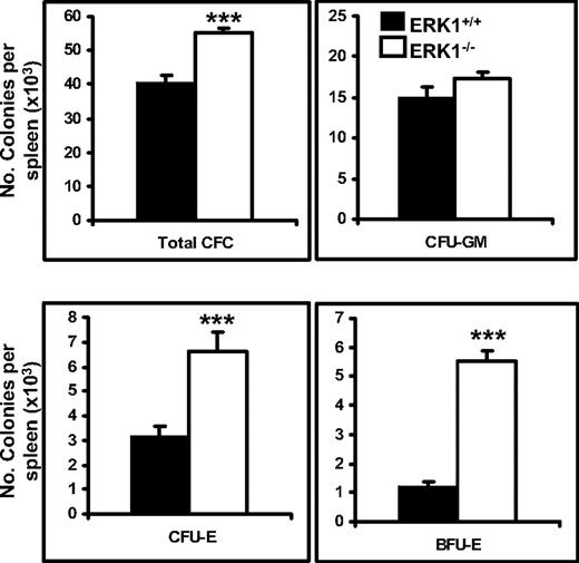 Figure 2. Amplification of the erythroid lineage in the spleen of ERK1−/− mice. CFU-Es were measured after 2 days, and total CFCs, BFU-Es, and CFU-GMs were measured after 7 days in complete methylcellulose with cytokines. Data are mean colony numbers ± SEMs from 5 ERK1+/+ and 6 ERK1−/− (***P < .001).