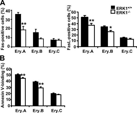 Figure 5. Down-regulation of apoptosis in early splenic erythroblasts in ERK1−/− mice. (A) Changes in Fas (n = 6 ERK1+/+, n = 7 ERK1−/−; left) and FasL (n = 10 ERK1+/+, n = 11 ERK1−/−; right) cell-surface expression on splenic erythroblasts from ERK1−/− mice and ERK1+/+ mice. The results are expressed as percentages of Fas/FasL-positive cells within each erythroblast subset. (B) Annexin V expression on splenic erythroblasts from ERK1-deficient mice (n = 6) compared with ERK1+/+ mice (n = 6). The results are expressed as percentages of annexin V–positive cells within each erythroblast subset. Data are means ± SEMs (*P < .05; **P < .01)