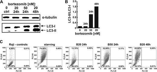 Figure 7. Proteasome inhibition with bortezomib activates autophagy in Raji cells. (A) Raji cells were incubated with bortezomib at indicated concentrations for 24 or 48 hours. Then, total cell lysates were prepared and Western blot analysis was performed using anti-LC3B antibody against LC3B-I and LC3B-II fragments. (B) Densitometric analysis of LC3B-II to LC3B-I ratio using the Quantity One 4.6.6 software. (C) Raji cells were incubated with indicated concentrations of bortezomib for 24 or 48 hours. Then, cells were stained with 1 μg/mL acridine orange for 15 minutes, washed with PBS, and analyzed in a FACSCalibur using CellQuest Pro Software Version 5.2 (Bio-Rad).