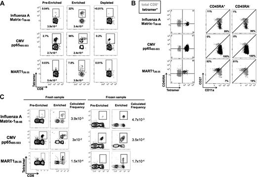 Figure 2. TAME increases detection of antigen-specific T cells by more than 100-fold. (A) PBMCs from healthy persons were stained with influenza A–Matrix158-66, CMVpp65495-503, and MART126-35 HLA-A2.1 tetramers labeled with PE. Enrichment was performed and the pre-enriched, enriched, and depleted fractions were analyzed. CD3+ CD8+ lineage-negative cells were gated and the percentage and corresponding frequencies of cells stained by the respective tetramers are reported. (B) Tetramer-enriched populations were further analyzed using anti-CD45RA, anti-CD11a, and anti-CD27 antibodies, permitting accurate discrimination of naive and memory T cells. CD45RA+ or CD45RA− cells were gated and assessed for their expression of CD11a and CD27. Dot plots shown in black represent the phenotype of tetramer-positive populations, and in gray bulk CD8+ T cells are shown as a reference population. All numbers and percentages refer to tetramer-positive population. (C) As the use of frozen cells would be of interest for monitoring banked samples, we confirmed that TAME is not influenced by standard freeze/thawing of PBMCs. Fresh and frozen PBMC from the same donor were stained with influenza A–Matrix158-66, CMVpp65495-503, and MART126-35 HLA-A2.1 tetramers labeled with PE. Enrichment was performed and tetramer frequency is reported. Plots are gated on CD3+ cells. Background staining of non-CD8+ T cells was unchanged by the freezing procedure.