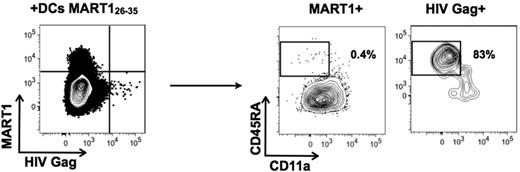 Figure 4. MART126-35–specific cells specifically mature under stimulation by pulsed DCs. PBMCs were incubated with anti-CD8 microbeads, and enriched cells were cocultured for 7 days with DCs loaded with MART126-35 peptide. T cells were then harvested and simultaneously stained with MART126-35 and HIV Gag p1777-85 tetramers, and cell phenotyping was performed on each tetramer-positive population. Data are representative of 2 independent experiments.