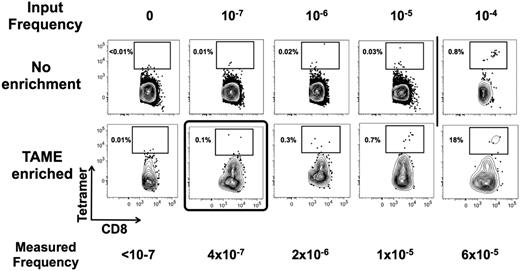 Figure 5. TAME permits detection of 1 cell in 107 CD8+ T cells. Titrated amounts of a CTL clone specific for HIV Gag p1777-85 were dispensed into known amounts of PBMCs of a healthy donor. Corresponding frequencies of spiked cells are indicated (input frequency). Samples were then stained with HIV Gag p1777-85 HLA-A2.1 tetramer labeled with PE, and the ability to detect the CTL clone was determined in the pre-enriched and enriched fractions. The limit of detection was determined to be ∼ 10−5 before and ∼ 10−7 after TAME. Measured frequency after enrichment is indicated for comparison. Results are representative of 2 independent experiments.