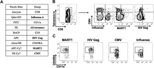 Figure 6. Simultaneous detection of several antigen-specific populations. (A) A panel including tetramers specific for MART126-35, HIV Gag p1777-85, CMVpp65495-503, and influenza A–M158-66 HLA-A2.1 tetramers was developed. All tetramers were labeled with PE, and a second tetramer labeled by a unique fluorochrome was used, as indicated. (B) Simultaneous enrichment was performed using anti-PE microbeads. Within the global PE-enriched tetramer-positive population, each specificity was identified using the second tetramer label. (C) The cell phenotype of the tetramer-positive cells was then analyzed using anti-CD45RA and anti-CD11a antibodies.