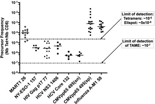 Figure 7. Enumeration of epitope-specific CD8+ T cells reveals conserved precursor frequency among healthy donors. After performing TAME with MART126-35, NY-ESO1157-165, HIV Gag p1777-85, HCV NS31406-1415, HCV Core132-140, or CMVpp65495-503 HLA-A2.1 tetramers, CD8+ T cells specific for each of these epitopes were enumerated. CMVpp65495-503 in seropositive persons and influenza A–M158-66 tetramer staining were used as positive controls. Each point represents a single healthy person. CMVpp65(sn) and CMVpp65(sp) indicate seronegative and seropositive donors, respectively, as confirmed by serologic testing.