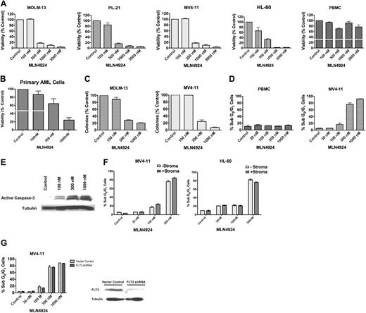 Figure 1. MLN4924 is highly active in preclinical AML models and primary AML cells. (A) MLN4924 potently reduces the viability of AML cells. MOLM-13, PL-21, MV411, and HL-60 cell lines and PBMCs from healthy donors were treated with the indicated concentrations of MLN4924 for 72 hours. Viability was assessed by the ATPLite assay. Results shown represent the mean of 3 experiments. Error bars represent SD. (B) MLN4924 has activity in primary AML cells. Primary cells were obtained from 5 AML patients. Of these patients, 1 had therapy-related AML and another had primary refractory AML indicating aggressive clinical disease. Primary cells were treated with MLN4924 for 72 hours. Viability was assessed by the ATPLite assay. (C) Dose-dependent inhibition of clonogenic survival after treatment with MLN4924. MOLM-13 and MV411 human AML cells were treated with the indicated concentrations of MLN4924 for 24 hours. Drug was washed away, cells were seeded in Methocult, and colonies were scored on day 10. n = 3; bars represent the mean ± SD. (D) Quantification of drug-induced apoptosis. MV411 cells and PBMCs from healthy donors were treated with the indicated concentrations of MLN4924 for 48 hours. Percentages of cells with subdiploid DNA were determined by PI/FACS. n = 3; bars represent the mean ± SD. (E) Activation of apoptosis after treatment with MLN4924. Cells were treated with the indicated concentrations of MLN4924 for 24 hours. Protein lysates were subjected to SDS-PAGE, blotted, and probed with an active caspase-3 specific antibody. Tubulin documented equal loading. (F) Effect of stromal coculture on the proapoptotic activity of MLN4924. MV411 and HL-60 cells were treated with the indicated concentrations of MLN4924 for 48 hours in the presence and absence of HS-5 bone marrow stromal cells. Percentages of apoptotic cells were determined by PI/FACS. n = 3; bars represent the mean ± SD. (G) Impact of FLT3 expression on the sensitivity of AML cells to MLN4924. MV411 cells with and without stable shRNA-mediated knockdown of FLT3 expression were treated with the indicated concentrations of MLN4924 for 48 hours. Percentages of apoptotic cells were determined by PI/FACS. n = 3; bars represent the mean ± SD. Immunoblotting was used to confirm knockdown of FLT3 expression. (H) Effects of MLN4924 on NEDDylated substrates and downstream effectors. Cells were treated with MLN4924 for 24 hours, lysed, subjected to SDS-PAGE, and probed with NEDD8, p27, CDT-1, NRF-2, pCHK1, total CHK1, pIκBα, total IκBα, BCL-2, BCL-xL, FLIP, and SOD2-specific antibodies. Tubulin documented equal loading. Densitometry analysis was carried out by quantifying the band density for each protein relative to the band density of tubulin using an Alpha Innotech FluorChem HD2 gel documentation system (Alpha Innotech). The densitometry values for all controls were normalized to 1.0. Densitometry values are indicated above each band and reflect the ratio of the change in protein expression from control levels for each respective protein. (I) Effects of MLN4924 on NFκB (p65) DNA-binding activity. Cells were treated with MLN4924 as indicated for 24 hours. Relative p65 DNA-binding activity was quantified using a chemiluminescent detection method. (J) Quantification of MLN4924-induced ROS generation. MV411 cells were treated with MLN4924 for 12 hours, and ROS production was evaluated by staining with dichlorofluorescein (DCF) followed by FACS analysis. n = 3; bars represent the mean ± SD. (K) Impact of antioxidant treatment on MLN4924-induced apoptosis. Drug-induced apoptosis was quantified after 48 hours of exposure to MLN4924 in the presence and absence of the antioxidant NAC. n = 3; bars represent the mean ± SD.
