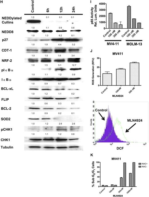 Figure 1. MLN4924 is highly active in preclinical AML models and primary AML cells. (A) MLN4924 potently reduces the viability of AML cells. MOLM-13, PL-21, MV411, and HL-60 cell lines and PBMCs from healthy donors were treated with the indicated concentrations of MLN4924 for 72 hours. Viability was assessed by the ATPLite assay. Results shown represent the mean of 3 experiments. Error bars represent SD. (B) MLN4924 has activity in primary AML cells. Primary cells were obtained from 5 AML patients. Of these patients, 1 had therapy-related AML and another had primary refractory AML indicating aggressive clinical disease. Primary cells were treated with MLN4924 for 72 hours. Viability was assessed by the ATPLite assay. (C) Dose-dependent inhibition of clonogenic survival after treatment with MLN4924. MOLM-13 and MV411 human AML cells were treated with the indicated concentrations of MLN4924 for 24 hours. Drug was washed away, cells were seeded in Methocult, and colonies were scored on day 10. n = 3; bars represent the mean ± SD. (D) Quantification of drug-induced apoptosis. MV411 cells and PBMCs from healthy donors were treated with the indicated concentrations of MLN4924 for 48 hours. Percentages of cells with subdiploid DNA were determined by PI/FACS. n = 3; bars represent the mean ± SD. (E) Activation of apoptosis after treatment with MLN4924. Cells were treated with the indicated concentrations of MLN4924 for 24 hours. Protein lysates were subjected to SDS-PAGE, blotted, and probed with an active caspase-3 specific antibody. Tubulin documented equal loading. (F) Effect of stromal coculture on the proapoptotic activity of MLN4924. MV411 and HL-60 cells were treated with the indicated concentrations of MLN4924 for 48 hours in the presence and absence of HS-5 bone marrow stromal cells. Percentages of apoptotic cells were determined by PI/FACS. n = 3; bars represent the mean ± SD. (G) Impact of FLT3 expression on the sensitivity of AML cells to MLN4924. MV411 cells with and without stable shRNA-mediated knockdown of FLT3 expression were treated with the indicated concentrations of MLN4924 for 48 hours. Percentages of apoptotic cells were determined by PI/FACS. n = 3; bars represent the mean ± SD. Immunoblotting was used to confirm knockdown of FLT3 expression. (H) Effects of MLN4924 on NEDDylated substrates and downstream effectors. Cells were treated with MLN4924 for 24 hours, lysed, subjected to SDS-PAGE, and probed with NEDD8, p27, CDT-1, NRF-2, pCHK1, total CHK1, pIκBα, total IκBα, BCL-2, BCL-xL, FLIP, and SOD2-specific antibodies. Tubulin documented equal loading. Densitometry analysis was carried out by quantifying the band density for each protein relative to the band density of tubulin using an Alpha Innotech FluorChem HD2 gel documentation system (Alpha Innotech). The densitometry values for all controls were normalized to 1.0. Densitometry values are indicated above each band and reflect the ratio of the change in protein expression from control levels for each respective protein. (I) Effects of MLN4924 on NFκB (p65) DNA-binding activity. Cells were treated with MLN4924 as indicated for 24 hours. Relative p65 DNA-binding activity was quantified using a chemiluminescent detection method. (J) Quantification of MLN4924-induced ROS generation. MV411 cells were treated with MLN4924 for 12 hours, and ROS production was evaluated by staining with dichlorofluorescein (DCF) followed by FACS analysis. n = 3; bars represent the mean ± SD. (K) Impact of antioxidant treatment on MLN4924-induced apoptosis. Drug-induced apoptosis was quantified after 48 hours of exposure to MLN4924 in the presence and absence of the antioxidant NAC. n = 3; bars represent the mean ± SD.